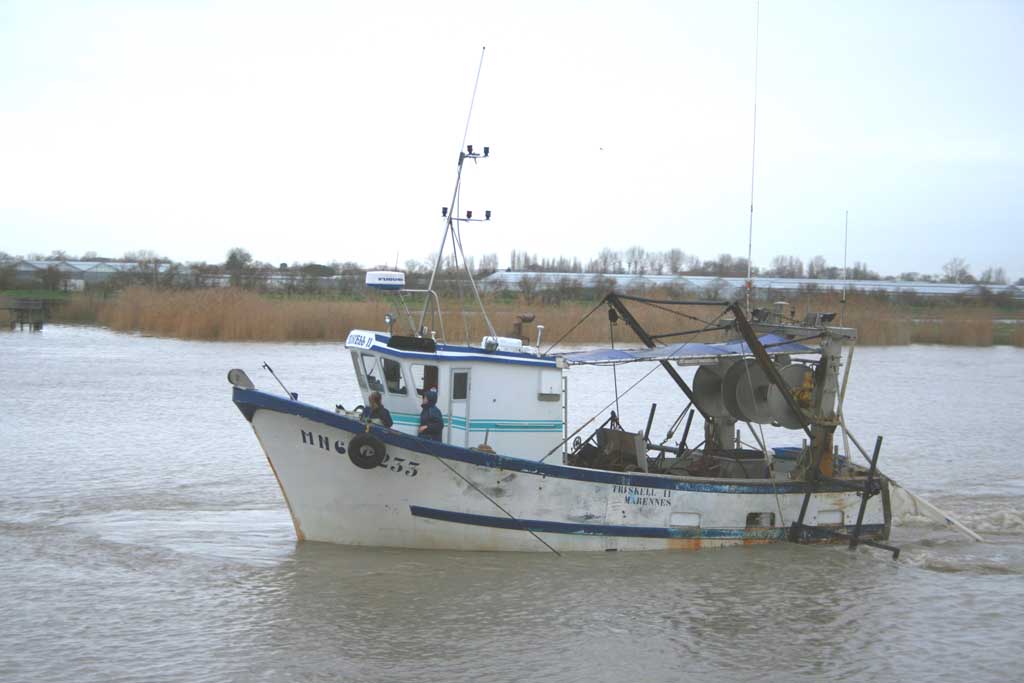 Bateau Crevette